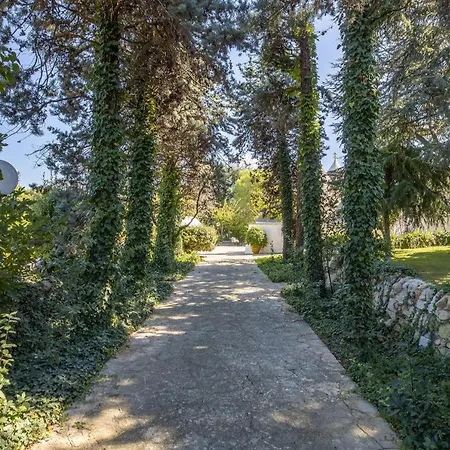 Tenuta Selva Regina Villa Selva Di Fasano